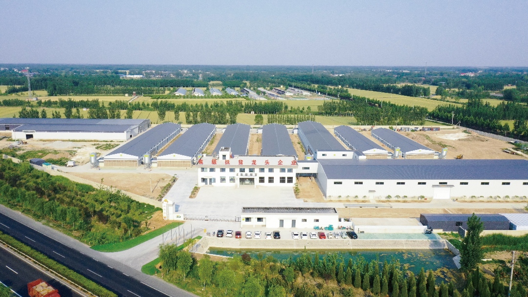 養(yǎng)雞場航拍