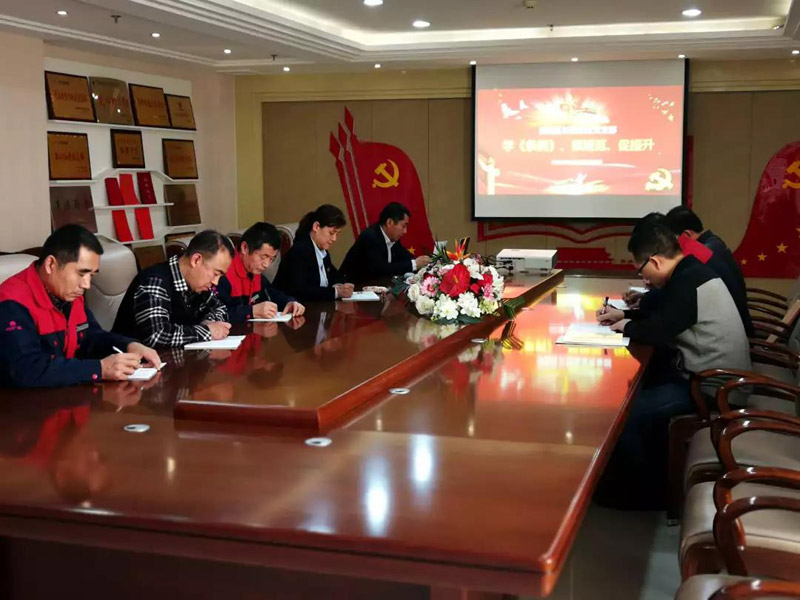 學(xué)《條例》 抓規(guī)范 促提升 長田實業(yè)黨支部開展1月份主題黨日活動